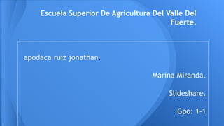 Escuela Superior De Agricultura Del Valle Del
Fuerte.

apodaca ruiz jonathan.
Marina Miranda.
Slideshare.
Gpo: 1-1

 