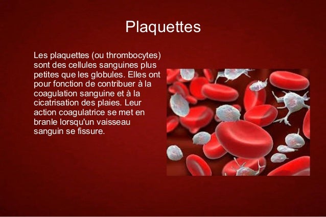La stérilité pour hommes les parasites