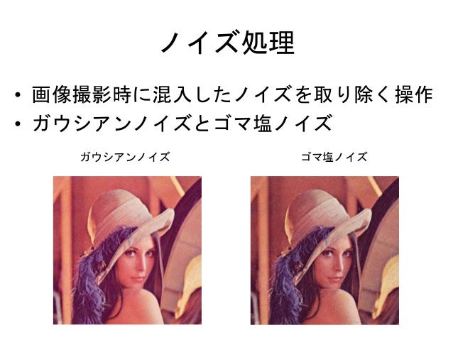 生物情報実験法 画像情報処理入門