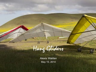 Hang Gliders
Alexis Walden
May 15, 2014
 