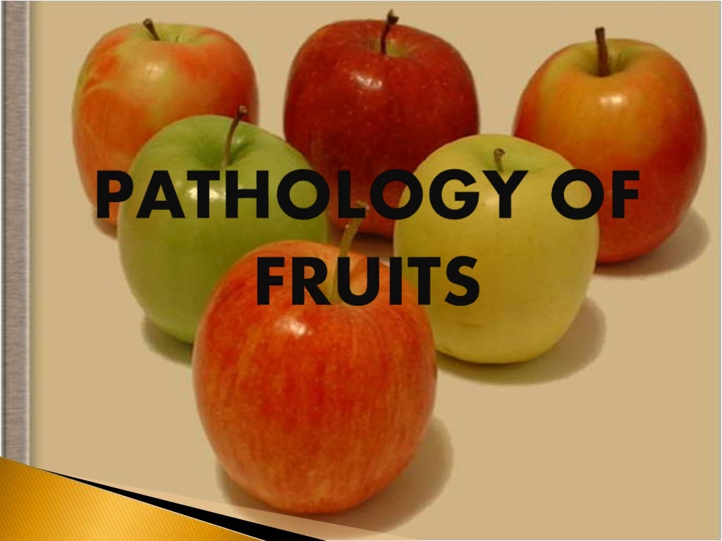 pathology of fruits; fruit conservation causes of fruits disease; bio…