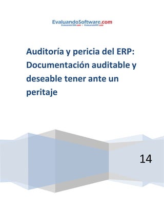 14 
Auditoría y pericia del ERP: 
Documentación auditable y 
deseable tener ante un 
peritaje 
 