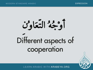 Modern Standard Arabic Expressions 