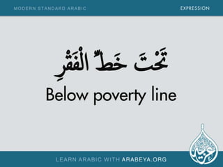 Modern Standard Arabic Expressions 