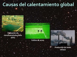 Causas del calentamiento global
Utilización de
clorofluorocarbonados
(CFC)
Producción de óxido
nitroso
Cultivo de arroz
 