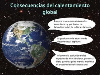 Consecuencias del calentamiento
global
Provoca enormes cambios en los
ecosistemas y, por tanto, en
la biodiversidad de la flora y la fauna..
Migraciones o la extinción de
determinadas especies.
Influye en la evolución de las
especies de forma incierta, pero está
claro que de alguna manera modifica
el proceso de selección natural.
 
