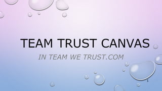 TEAM TRUST CANVAS
IN TEAM WE TRUST.COM
1
 