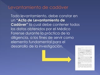 Todo levantamiento, debe constar en
un “Acta de Levantamiento de
Cadáver” la cual debe contener todos
los datos obtenidos por el Médico
Forense durante la práctica de la
diligencia, a los fines de servir como
elemento fundamental para el
desarrollo de la investigación.
 