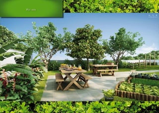 Lotes residenciais Campo Grande 