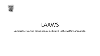 LAAWS
A global network of caring people dedicated to the welfare of animals.
 
