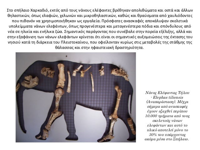 Που χρονολογούνται για τον προσδιορισμό της ηλικίας των απολιθωμάτων φυτών και ζώων