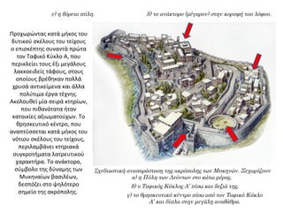 Προχωρώντας κατά μήκος του
δυτικού σκέλους του τείχους
ο επισκέπτης συναντά πρώτα
τον Ταφικό Κύκλο Α, που
περικλείει τους έξι μεγάλους
λακκοειδείς τάφους, στους
οποίους βρέθηκαν πολλά
χρυσά αντικείμενα και άλλα
πολύτιμα έργα τέχνης.
Ακολουθεί μία σειρά κτηρίων,
που πιθανότατα ήταν
κατοικίες αξιωματούχων. Το
θρησκευτικό κέντρο, που
αναπτύσσεται κατά μήκος του
νότιου σκέλους του τείχους,
περιλαμβάνει κτηριακά
συγκροτήματα λατρευτικού
χαρακτήρα. Το ανάκτορο,
σύμβολο της δύναμης των
Μυκηναίων βασιλέων,
δεσπόζει στο ψηλότερο
σημείο της ακρόπολης.
Σχεδιαστική αναπαράσταση της ακρόπολης των Μυκηνών. Ξεχωρίζουν
α) η Πύλη των Λεόντων στο κάτω μέρος,
β) ο Ταφικός Κύκλος Α’ πίσω και δεξιά της,
γ) το θρησκευτικό κέντρο πίσω από τον Ταφικό Κύκλο
Α’ και δίπλα στην μεγάλη αναβάθρα.
δ) το ανάκτορο (μέγαρον) στην κορυφή του λόφου.ε) η βόρεια πύλη.
 