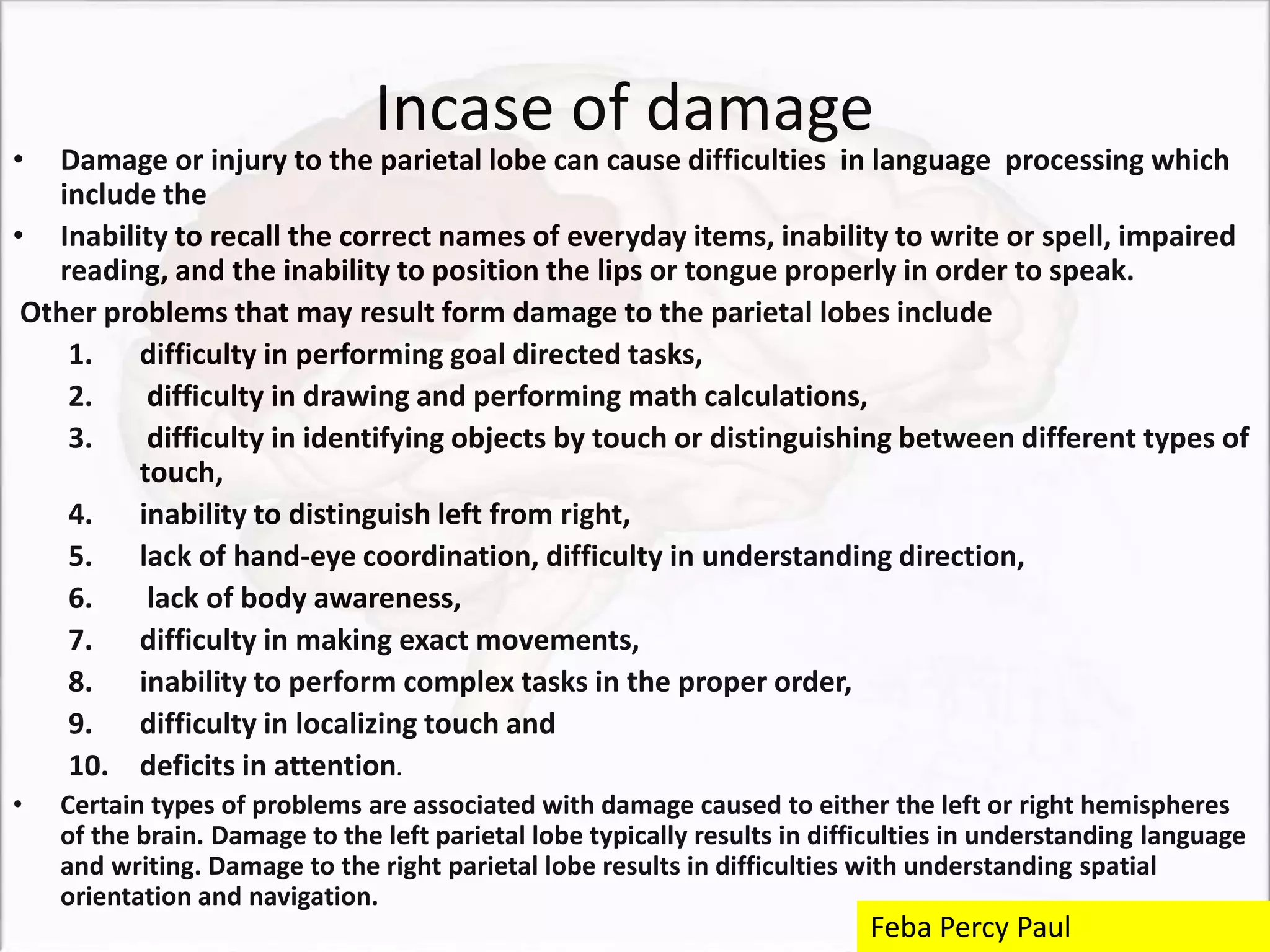 Incase of damage
• Damage or injury to the parietal lobe can cause difficulties in language processing which
include the
• Inability to recall the correct names of everyday items, inability to write or spell, impaired
reading, and the inability to position the lips or tongue properly in order to speak.
Other problems that may result form damage to the parietal lobes include
1. difficulty in performing goal directed tasks,
2. difficulty in drawing and performing math calculations,
3. difficulty in identifying objects by touch or distinguishing between different types of
touch,
4. inability to distinguish left from right,
5. lack of hand-eye coordination, difficulty in understanding direction,
6. lack of body awareness,
7. difficulty in making exact movements,
8. inability to perform complex tasks in the proper order,
9. difficulty in localizing touch and
10. deficits in attention.
• Certain types of problems are associated with damage caused to either the left or right hemispheres
of the brain. Damage to the left parietal lobe typically results in difficulties in understanding language
and writing. Damage to the right parietal lobe results in difficulties with understanding spatial
orientation and navigation.
Feba Percy Paul
 
