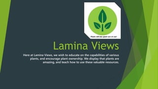 Lamina Views
Here at Lamina Views, we wish to educate on the capabilities of various
plants, and encourage plant ownership. We display that plants are
amazing, and teach how to use these valuable resources.
 