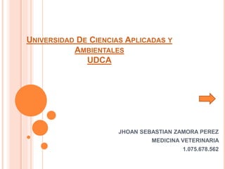 UNIVERSIDAD DE CIENCIAS APLICADAS Y
AMBIENTALES
UDCA
JHOAN SEBASTIAN ZAMORA PEREZ
MEDICINA VETERINARIA
1.075.678.562
 
