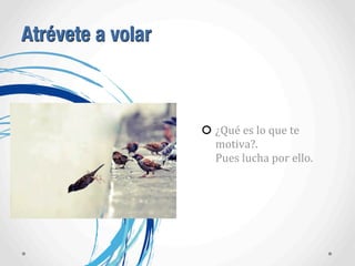 Atrévete a volar
¿Qué	
  es	
  lo	
  que	
  te	
  
motiva?.	
  
Pues	
  lucha	
  por	
  ello.
 