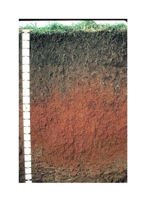 Flood Mitigation Of Roads