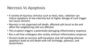 Necrosis Vs Apoptosis
• A variety of injurious stimulus such as heat, toxic, radiation can induce
apoptosis at low intensity but at higher dosage of such trigger can cause
necrosis.
• Necrosis is not organized cell death, affected cells burst to die and affect
the neighboring cells are affected.
• This eruption triggers a potentially damaging inflammatory response.
• But a cell that undergoes apoptosis dies neatly, without inflammatory
response.
• Oncosis leads to necrosis with karyolysis and cell swelling whereas
apoptosis leads to cell death with cell shrinkage, pyknosis, and
karyorrhexis.
 