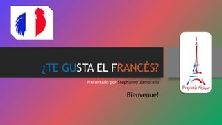 ¿TE GUSTA EL FRANCÉS?
Presentado por Stephanny Zambrano
Bienvenue!