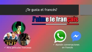  Mira películas francesas
¿Te gusta el francés?
Mantén conversaciones
en francés