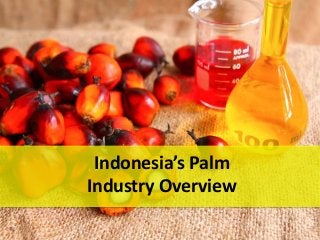 Indonesia’s Palm
Industry Overview
 