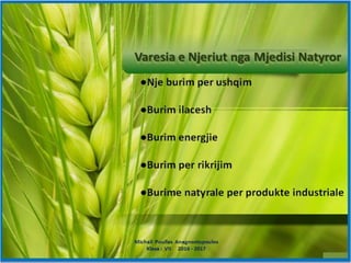 Slideshare...Një mjedis i gjelbër...Një jetë e shëndetshme ...!!!