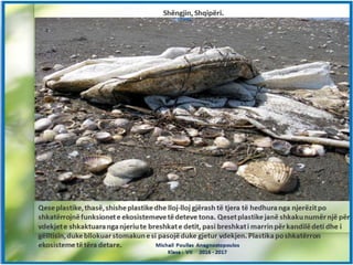 Slideshare...Një mjedis i gjelbër...Një jetë e shëndetshme ...!!!