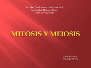 Sociedad Civil Universidad Yacambú
Facultad de Humanidades
Genética y conducta
Yesenia Pinto
HPS-161-00292V
 