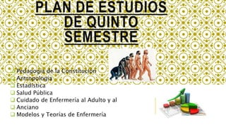 PLAN DE ESTUDIOS
DE QUINTO
SEMESTRE
 Pedagogía de la Constitución
 Antropología
 Estadística
 Salud Pública
 Cuidado de Enfermería al Adulto y al
 Anciano
 Modelos y Teorías de Enfermería
 