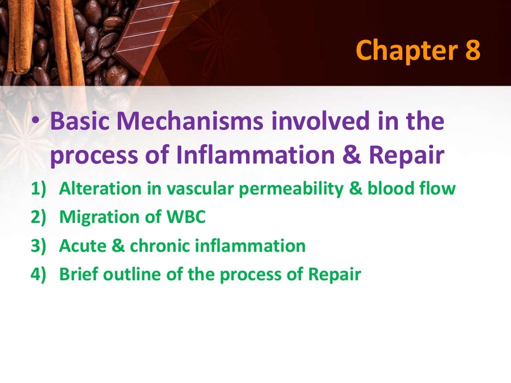 Inflammation & Repair