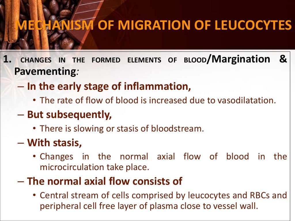 Inflammation & Repair