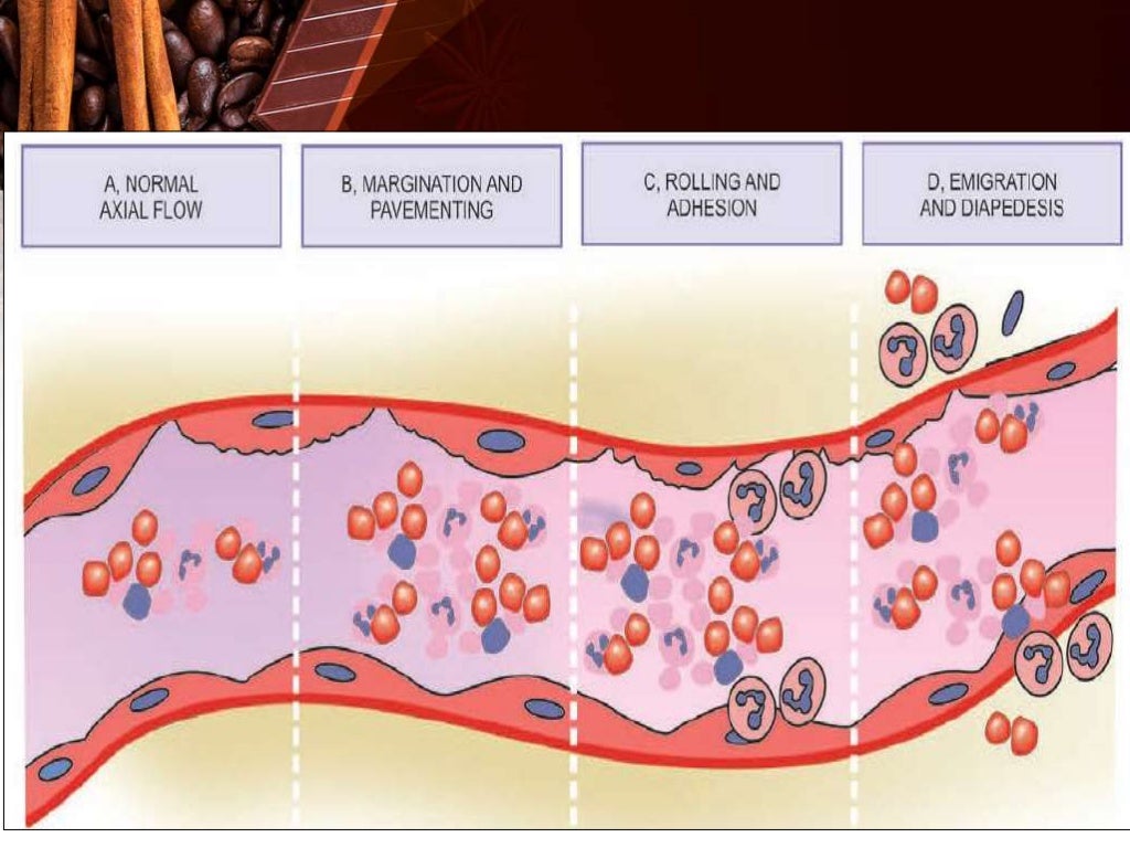 Inflammation & Repair