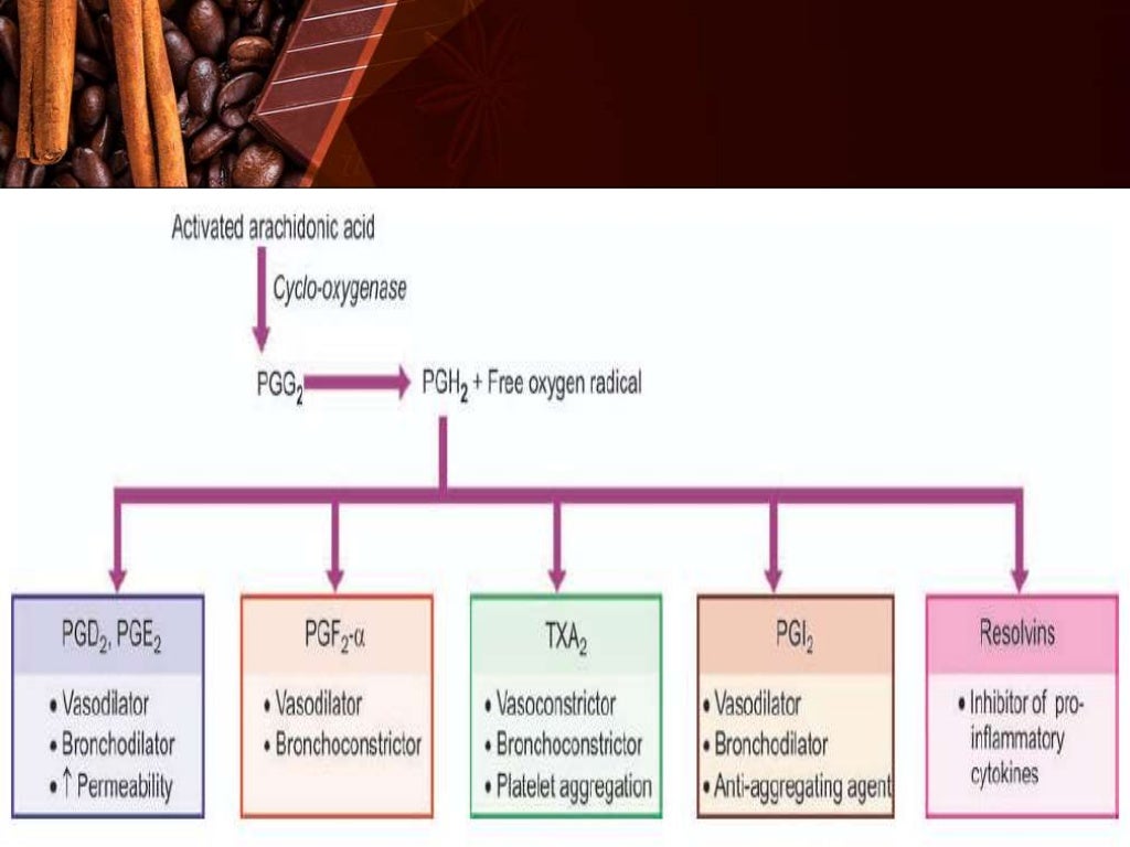 Inflammation & Repair