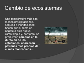 Cambio de ecosistemas
Una temperatura más alta,
menos precipitaciones,
sequías e inundaciones
hacen que el clima se
adapte a esta nueva
climatología y, por tanto, se
produzcan cambios en la
duración de las
estaciones, aparezcan
patrones más propios de
climas monzónicos…
 