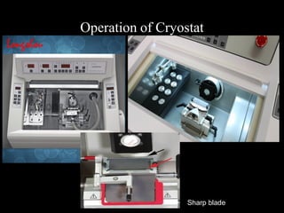 Operation of Cryostat
Sharp blade
 