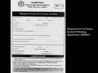 Request form for frozen
section,Pathology
department ,BSMMU
 