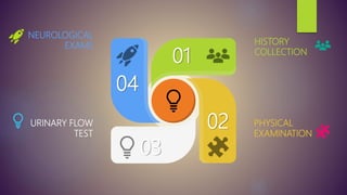 PHYSICAL
EXAMINATION
URINARY FLOW
TEST
HISTORY
COLLECTION
NEUROLOGICAL
EXAMS
01
02
03
04
 