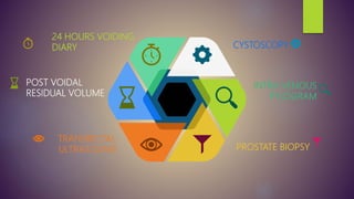 24 HOURS VOIDING
DIARY
PROSTATE BIOPSY
CYSTOSCOPY
TRANSRECTAL
ULTRASOUND
POST VOIDAL
RESIDUAL VOLUME
INTRA VENOUS
PYLOGRAM
 