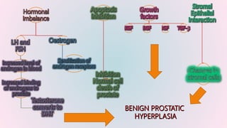 Benign Prostatic Hyperplasia