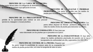 PRINCIPIO DE LA CARGA DE LA PRUEBA:
Las partes llevan sobre sí la obligación de demostrar el supuesto
de hecho de las normas cuya aplicación invocan.
PRINCIPIO DE LA LEALTAD Y PROBIDAD
PROBATORIA: Las partes no pueden usar los medios de
prueba para esconder la realidad y así engañar al Juez.
PRINCIPIO DE LA PRECLUSIVIDAD: Es la
pérdida de la oportunidad para realizar un acto procesal
(promover, impugnar o evacuar pruebas). PRINCIPIO DE LIBERTAD PROBATORIA: Las
partes deben disponer de libertad probatoria para valerse de
todos los medios lícitos de prueba para demostrar sus hechos.
PRINCIPIO DE INMEDIACIÓN: El Juez tiene que
estar relacionado con las pruebas que se presenten en el juicio.
PRINCIPIO DE LA EXHAUSTIVIDAD: El Juez debe
valorar los medios probatorios practicados de acuerdo con la Ley e
incorporarlos de conformidad con ella y apreciarlos (Art.509 CPC).
PRINCIPIO DE CONTROL DE LA PRUEBA: Requiere que
las partes tengan la posibilidad de conocer antes de su evacuación los
medios de prueba promovidos, así como la recepción de estas en autos.
 