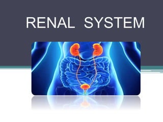 RENAL SYSTEM
 