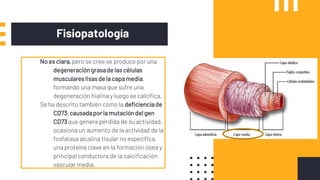 Fisiopatología
No es clara,pero se cree se produce por una
degeneracióngrasade las células
musculareslisasde la capamedia,
formando una masa que sufre una
degeneración hialina y luego se calcifica.
Se ha descrito también cómo la deficienciade
CD73,causadaporla mutacióndel gen
CD73que genera pérdida de su actividad,
ocasiona un aumento de la actividad de la
fosfatasa alcalina tisular no específica,
una proteína clave en la formación ósea y
principal conductora de la calcificación
vascular media.
 