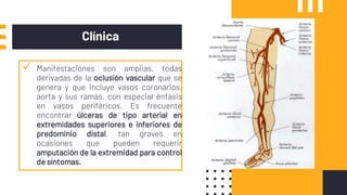 Clínica
 Manifestaciones son amplias, todas
derivadas de la oclusión vascular que se
genera y que incluye vasos coronarios,
aorta y sus ramas, con especial énfasis
en vasos periféricos. Es frecuente
encontrar úlceras de tipo arterial en
extremidades superiores e inferiores de
predominio distal, tan graves en
ocasiones que pueden requerir
amputación de la extremidad para control
de síntomas.
 