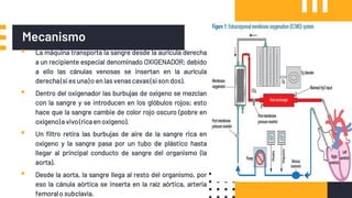 Mecanismo
▪ La máquina transporta la sangre desde la aurícula derecha
a un recipiente especial denominado OXIGENADOR; debido
a ello las cánulas venosas se insertan en la aurícula
derecha(si es una)o en las venascavas(si son dos).
▪ Dentro del oxigenador las burbujas de oxígeno se mezclan
con la sangre y se introducen en los glóbulos rojos; esto
hace que la sangre cambie de color rojo oscuro (pobre en
oxígeno)a vivo(ricaen oxígeno).
▪ Un filtro retira las burbujas de aire de la sangre rica en
oxígeno y la sangre pasa por un tubo de plástico hasta
llegar al principal conducto de sangre del organismo (la
aorta).
▪ Desde la aorta, la sangre llega al resto del organismo, por
eso la cánula aórtica se inserta en la raíz aórtica, arteria
femoralo subclavia.
 