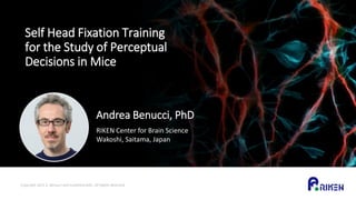 Andrea Benucci, PhD
RIKEN Center for Brain Science
Wakoshi, Saitama, Japan
Copyright 2021 A. Benucci and InsideScientific. All Rights Reserved.
Self Head Fixation Training
for the Study of Perceptual
Decisions in Mice
 
