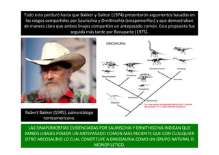 Todo esto perduró hasta que Bakker y Galton (1974) presentaron argumentos basados en
los rasgos compartidos por Saurischia y Ornithischia (sinapomorfías) y que demostraban
de manera clara que ambos linajes compartían un antepasado común. Esta propuesta fue
seguida más tarde por Bonaparte (1975).
Robert Bakker (1945), paleontólogo
norteamericano.
LAS SINAPOMORFIAS EVIDENCIADAS POR SAURISCHIA Y ORNITHISCHIA INDICAN QUE
AMBOS LINAJES POSEEN UN ANTEPASADO COMUN MAS RECIENTE QUE CON CUALQUIER
OTRO ARCOSAURIO LO CUAL CONSTITUYE A DINOSAURIA COMO UN GRUPO NATURAL O
MONOFILETICO.
 