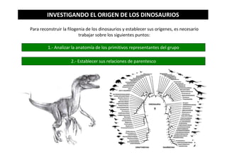 INVESTIGANDO EL ORIGEN DE LOS DINOSAURIOS
Para reconstruir la filogenia de los dinosaurios y establecer sus orígenes, es necesario
trabajar sobre los siguientes puntos:
1.- Analizar la anatomía de los primitivos representantes del grupo
2.- Establecer sus relaciones de parentesco
 