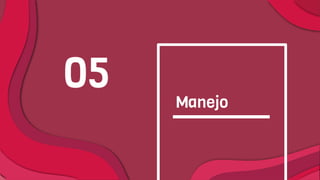 Manejo
05
 