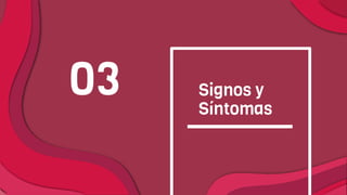 Signos y
Síntomas
03
 
