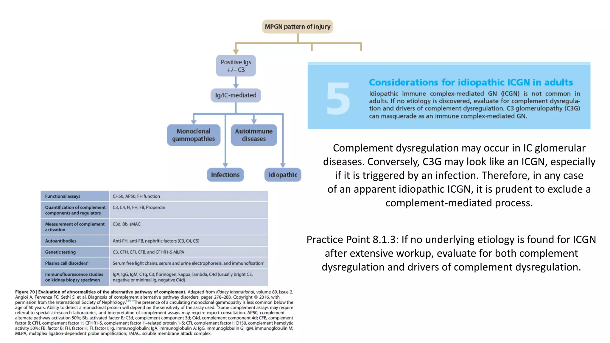 Ig & complement-mediated glomerular dis with MPGN pattern (KDIGO 2021 ...
